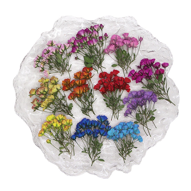 36X pressato essiccato Multi-t - Dried Flower Bookmark recensione e prezzo